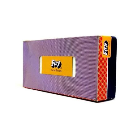 Fay Facial Tissues - 100