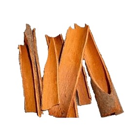 Daruchini -  দারুচিনি